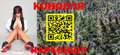 шишки Чебоксары