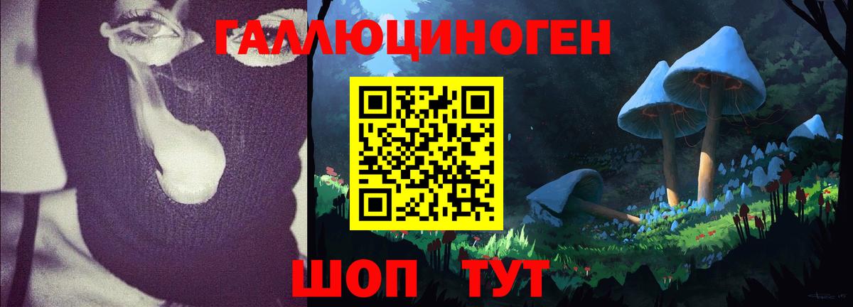 Галлюциногенные грибы мухоморы Вичуга