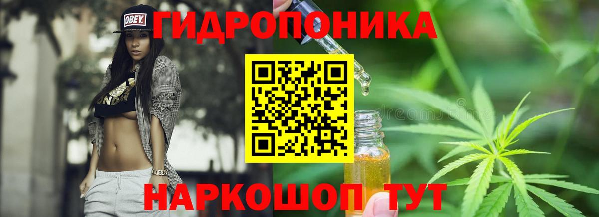 Вичуга  Каннабис Ganja  Марихуана индика  Вход с VPN 